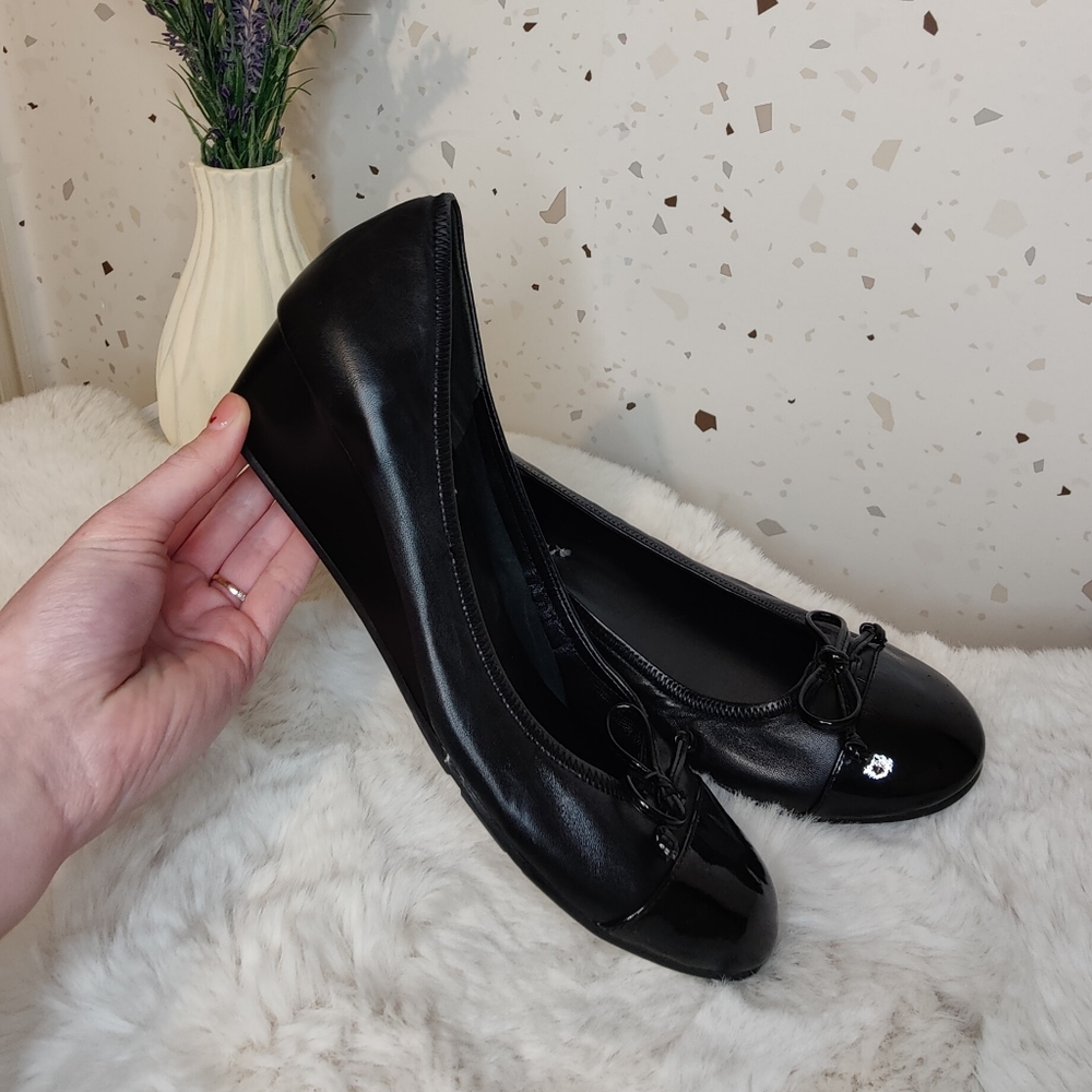 Little black wedges